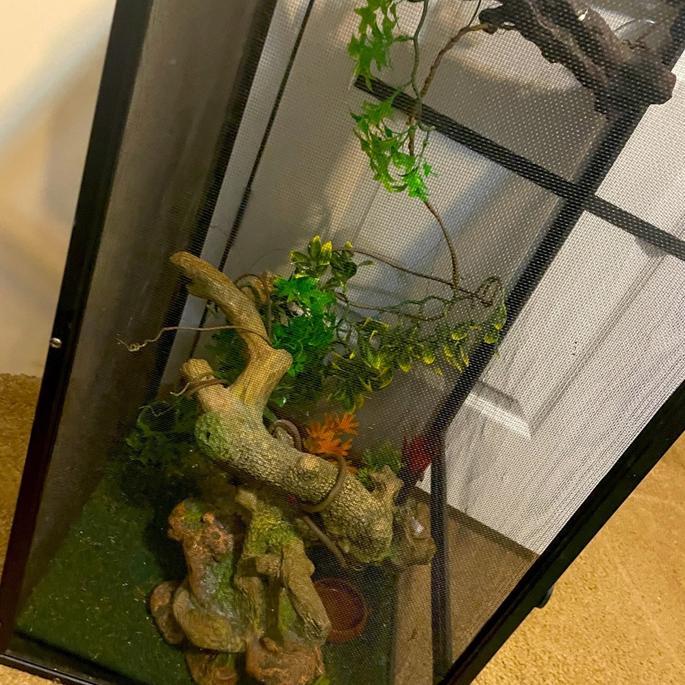 Everything needed to bring home your new reptile - Custom Package Discounts